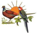 VZE Vogelwelt